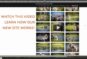 How to Navigate DawgsOnline.org - Video Tutorial