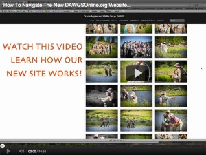 How to Navigate DawgsOnline.org - Video Tutorial