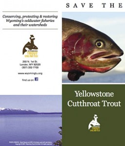 .Wyoming Trout Unlimited YL Cutthroat Project