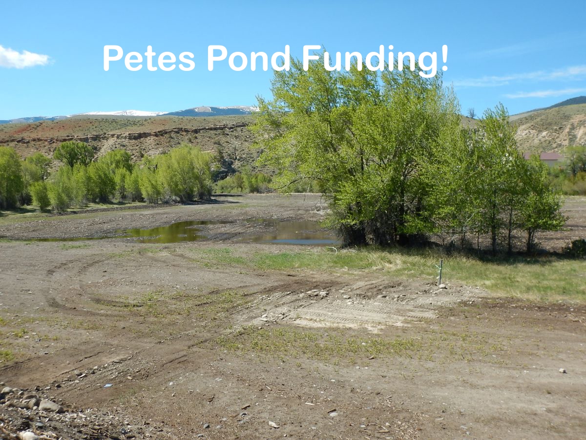 Pete's Pond needs funding